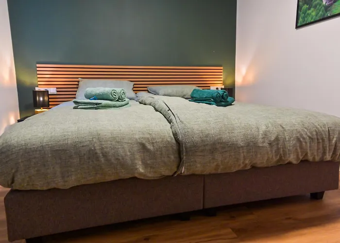 公寓 Haus Traumhorst 海利根布卢特